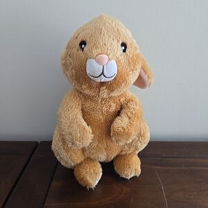 Kohls Cares The Littlest Bunny Plush 8" Stuffed Animal Toy Rabbit 2018

Ge